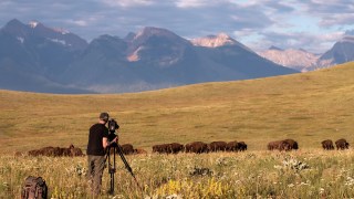 Ken Burns on ‘The American Buffalo’ and the Tragedy of Mass Eradication