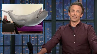 Seth Meyers Fully Supports Trump’s Wish to Be a ‘Whale Psychiatrist’: ‘Follow That Dream’ | Video