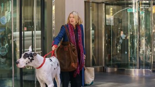 ‘The Friend’ Review: Naomi Watts, Bill Murray and a Big Dog Explore Love and Loss